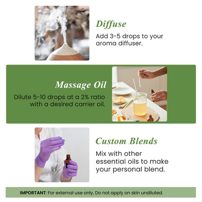 Handcraft Blends Rosemary Essential Oil - Huge 4 Fl Oz - 100% Pure and Natural -