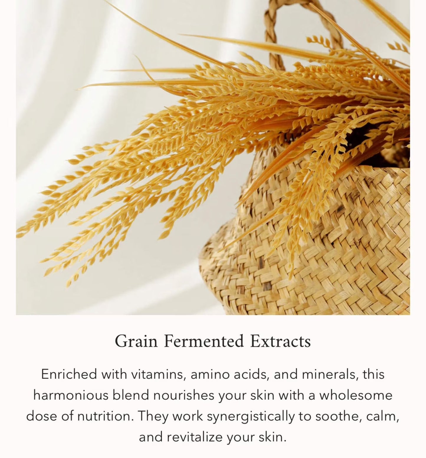 Relief Sun Protecting Rice + Probiotic Sunscreen Cream for Face SPF 50