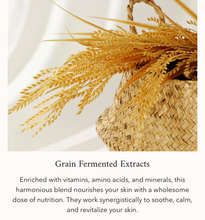 Relief Sun Protecting Rice + Probiotic Sunscreen Cream for Face SPF 50
